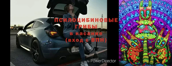 стафф Верхний Тагил