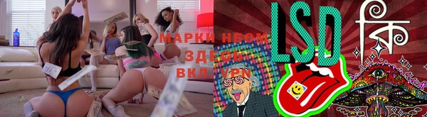 стафф Верхний Тагил