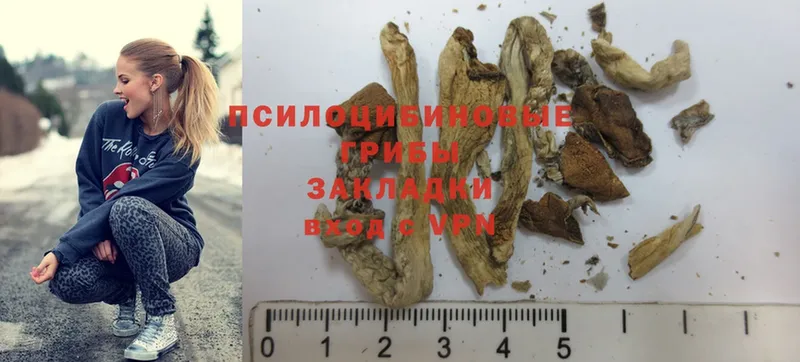 Галлюциногенные грибы Magic Shrooms  Городовиковск 